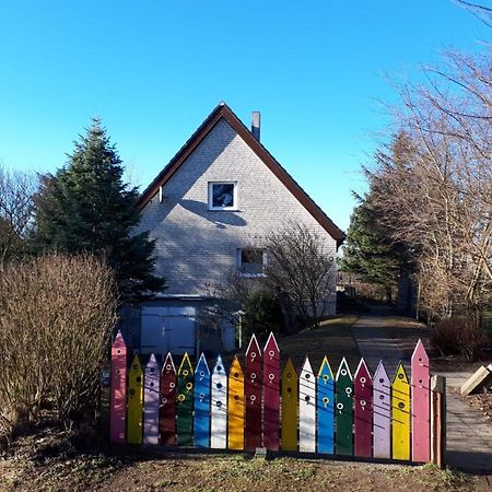 Whg Meeresblick Nieblum Exteriör bild